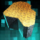 Super Cave Plateau.png