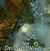 Tangled Depths Hidden Chest 20.jpg