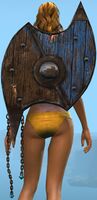 Battle-Worn.jpg