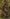 Diresight Caverns map.jpg