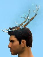 Enchanted Winter Antlers side.jpg