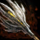 Flame Trident.png