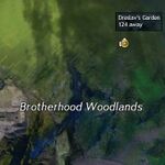 Lighting Echovald map 15.jpeg
