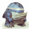 Lost quaggan icon.png