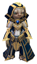 Priory's Historical armor (light) asura male front.jpg