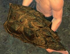 Risen Turtle Shell.jpg