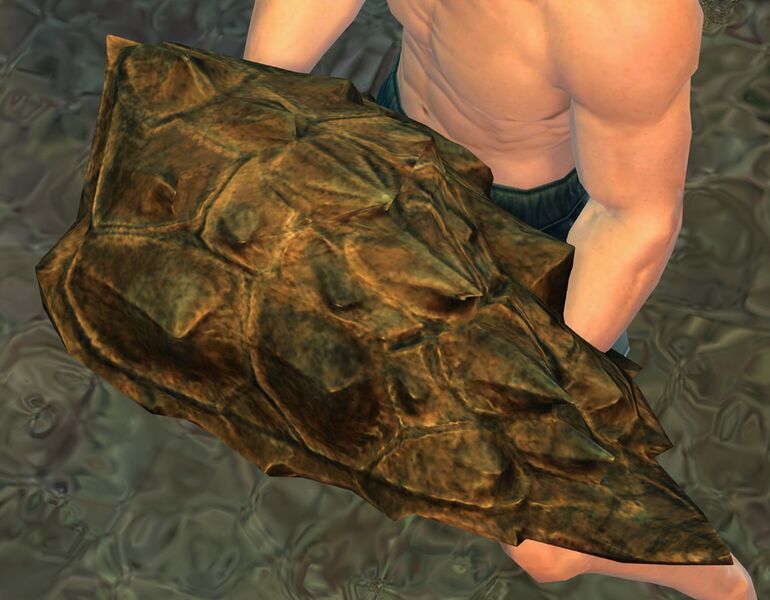 File:Risen Turtle Shell.jpg