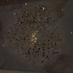 Wasp Damage.jpg