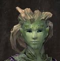 Exclusive hair - sylvari male 8.jpg