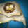 Guild Kite.png