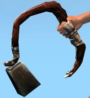 Hard Wood Focus.jpg