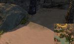 Hidden Carrot Hunt 8 map.jpg