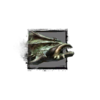 Armor Fish