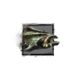 Juvenile Armor Fish.png