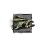 Juvenile Armor Fish.png