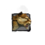 Juvenile Jungle Stalker.png