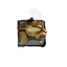 Juvenile Jungle Stalker.png