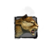 Juvenile Jungle Stalker.png