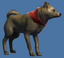 Mini Cream Shiba Inu.jpg