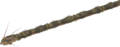Render.