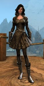 Appearance on light armor.