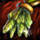 Peridot Gold Earring.png