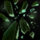 Smashed Inquest Capacitor.png