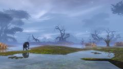 Thundertroll Swamp.jpg