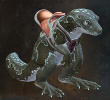 Treespirit Gecko.jpg