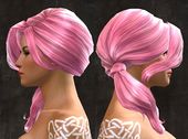 Unique norn female hair side 17.jpg