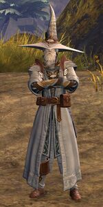 Astral Ward Mage human male 6 (crossed arms).jpg