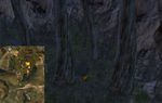 Carrot Collector 10 map.jpg