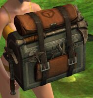 Gear (wielded).jpg