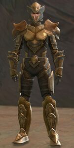 Lionguard human heavy 4 (weaponless).jpg