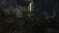 Thumbnail for version as of 07:29, 8 March 2020