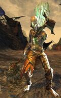 Risen Plaguebearer.jpg