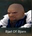 Bjarl of Bjorn