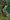 Viath Shore map.jpg
