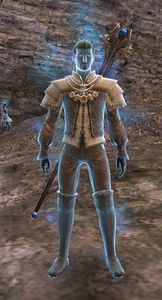 Ascalonian Mage (male).jpg