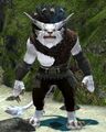 Castaway Driftspar