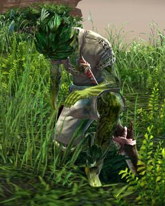 Castaway sylvari male 1 (kneeling).jpg