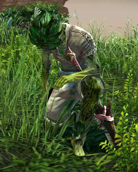 File:Castaway sylvari male 1 (kneeling).jpg