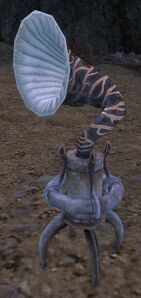 Devourer Lure.jpg