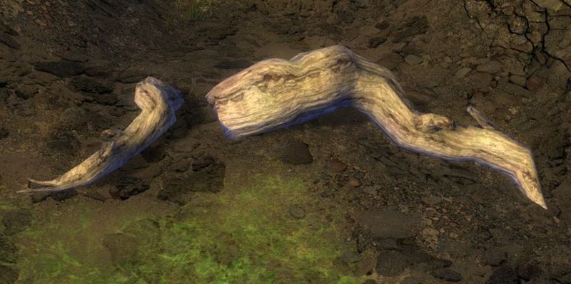 File:Driftwood (object).jpg