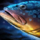 Dusky Grouper.png