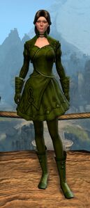 Appearance on light armor.