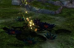 Late-Blooming Elon Lily (object).jpg