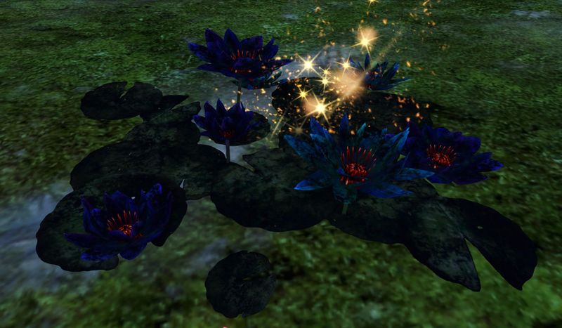 File:Late-Blooming Elon Lily (object).jpg