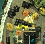 Little-foxes-in-the-big-city-29.jpg