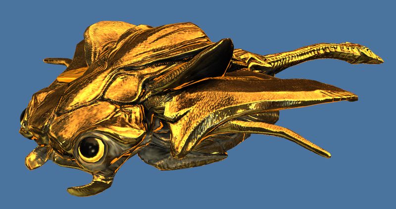 File:Mini Gold Skimmer Pup.jpg